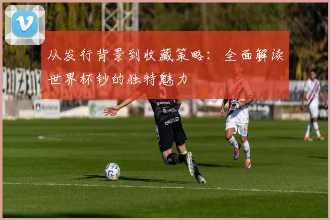 从发行背景到收藏策略：全面解读世界杯钞的独特魅力