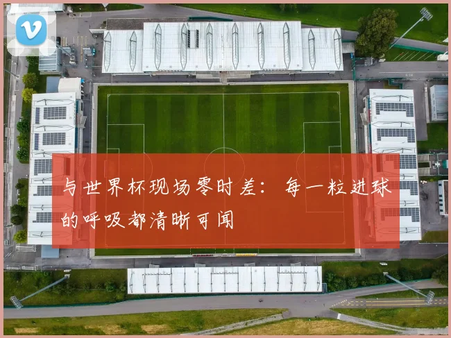 与世界杯现场零时差：每一粒进球的呼吸都清晰可闻