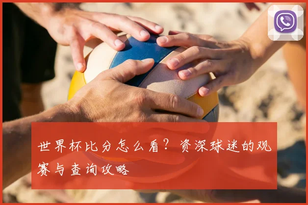 世界杯比分怎么看?资深球迷的观赛与查询攻略