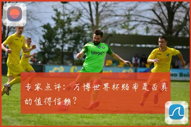 专家点评:万博世界杯赔率是否真的值得信赖?