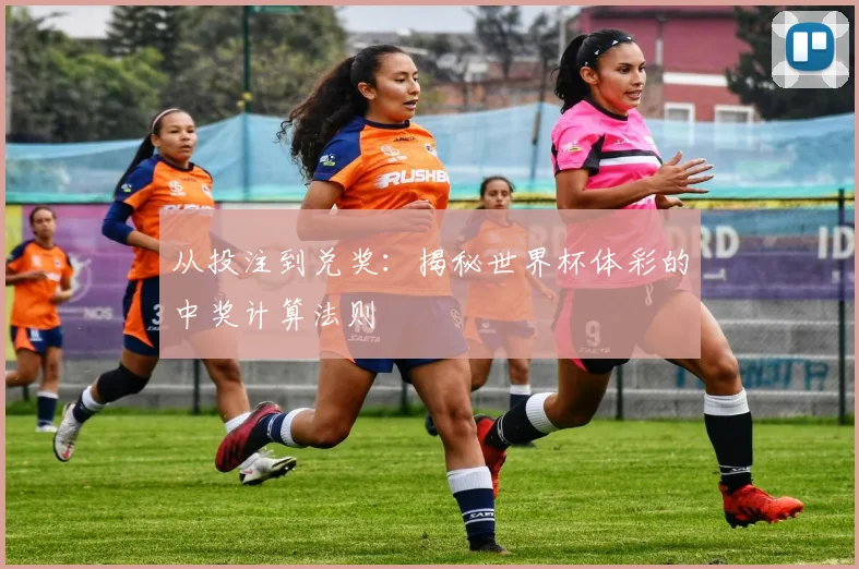 从投注到兑奖：揭秘世界杯体彩的中奖计算法则