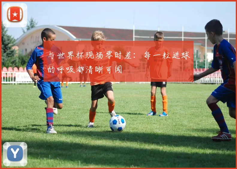 与世界杯现场零时差：每一粒进球的呼吸都清晰可闻