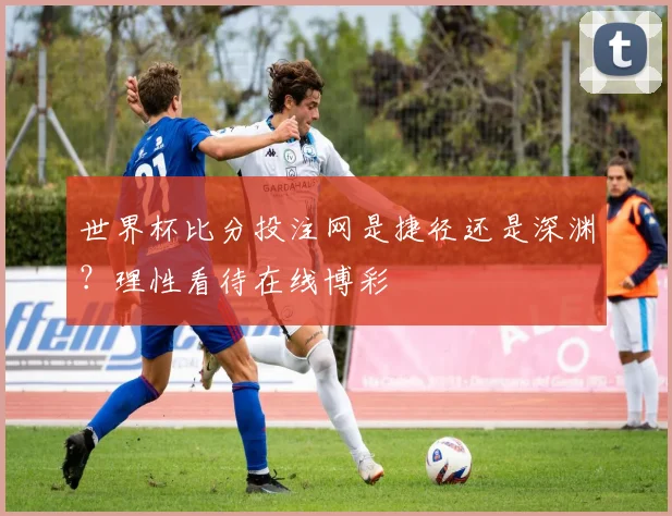 世界杯比分投注网是捷径还是深渊?理性看待在线博彩