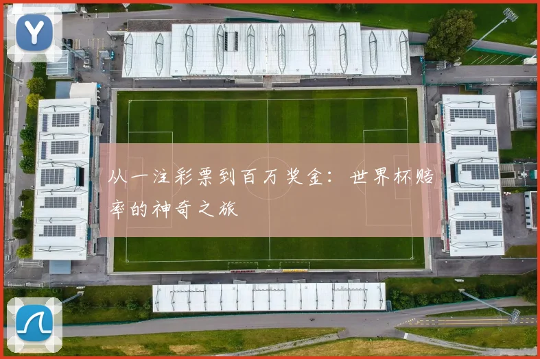 从一注彩票到百万奖金:世界杯赔率的神奇之旅