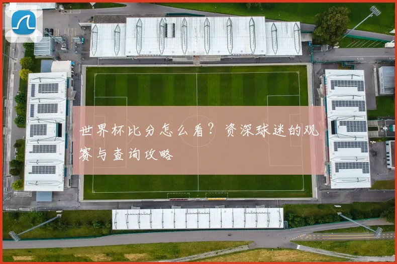 世界杯比分怎么看?资深球迷的观赛与查询攻略