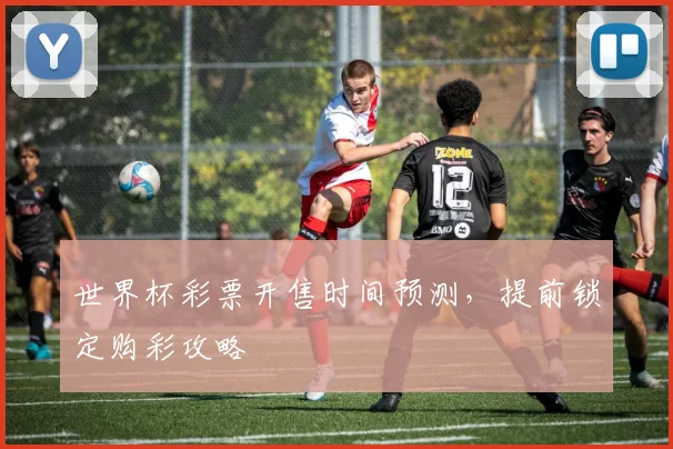 世界杯彩票开售时间预测,提前锁定购彩攻略