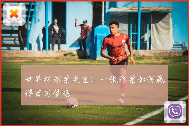 世界杯彩票奖金:一张彩票如何赢得百万梦想