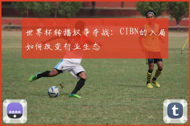 世界杯转播权争夺战:CIBN的入局如何改变行业生态